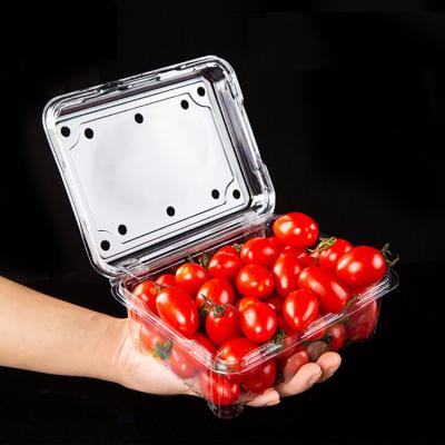 China Recycled Materials Eco-Friendly Disposable Plastic Pet Fruit And Vegetable Clamshell Food Container Transparent Box for sale