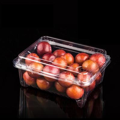 China Recycled Materials Clear Hinged Fruit Plastic Container Clear Food Container Clamshell Disposable Plastic Box Packaging for sale