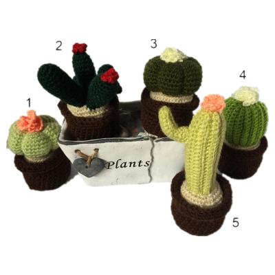 China Plush Custom Handmade Crocheted Stuffed Succulents: Cactus and other succulents for decoration for sale