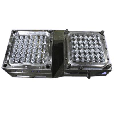 China Injection Molding Steel Rapid Making Plastic Manufacturer For Home Appliances - Egg Box for sale