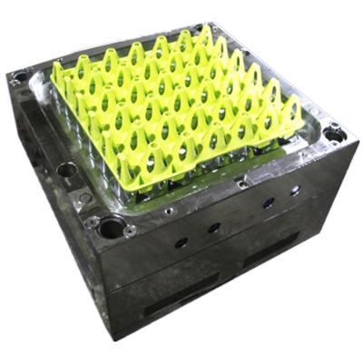 China Steel Professional Plastic Injection Molding for Home Appliances - Egg Box for sale