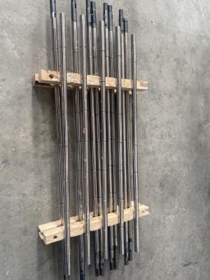 China Pump Type Sucker Rod Pump Configuration Type Inserted Processing Type Casting Rod Insert Pump for sale