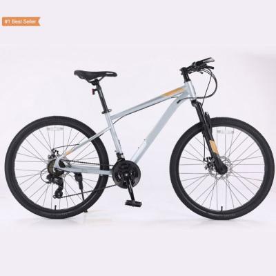 China Steel Istaride 26/27.5/29 Inch Adult City Bicycle Hybride Fiets Cheap Road Racing Bike Bici Da Citta Mountain Bike Mtb for sale