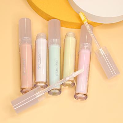 China Waterproof Unique Hot Sale Five Styles Design Makeup Base Liquid Lip Cream for sale