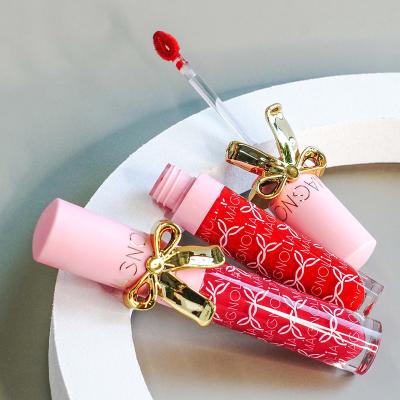 China Wholesale New Fashion Trends Waterproof Lip Gloss Lip Gloss Dropping Glossy Lip Gloss for sale