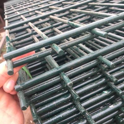 China Germany Style Powder Coating 8/6/8 Double Wire Mesh Panels Easily Assembled Price for sale