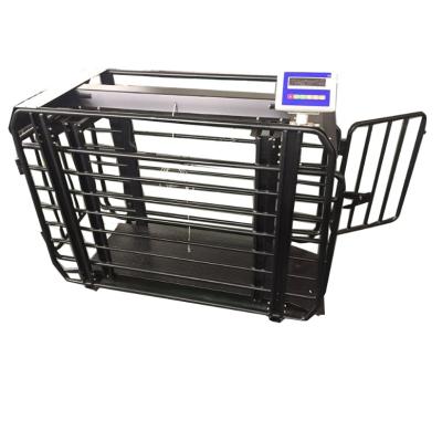 China Weight Function Cheap Price Digital Cattle Hog Weighing Cattle Scale For Pig for sale