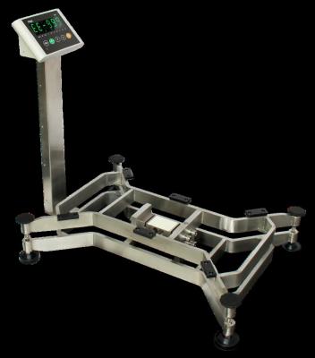 China Cheap Stainless Steel Weight Machine Digital Calculating Scale Bench Waterproof Electronic Scale High Accuracy for sale