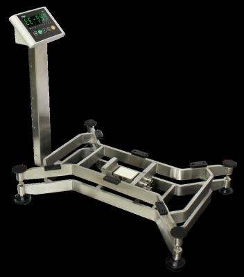 China New design BX function new steell 100kg electronic stainless steell bench weighing digital scales for sale