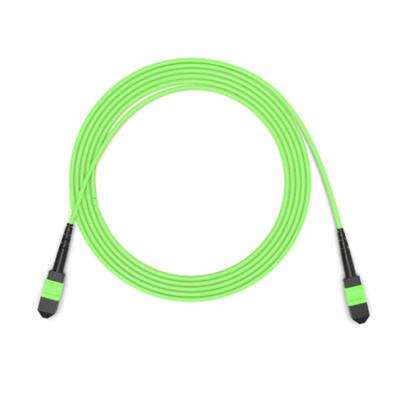 China High Quality High Quality MPO MTP OM5 Fiber Optic Patch Cord for sale