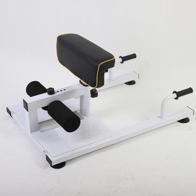 China Sissy Squat Rack Multifunctional Home Hip Squatting Machine Home Gym Sissy Deformation Device Living Room Gym for sale