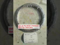 seal ,oil, PN: 91250-1 PN:91250-1  Varco Top  Drive parts