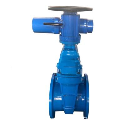 China General Electric Gate Valve Soft Seal Seat Seal Flange Elastic Gate Valve for sale