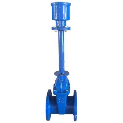 China General Soft Elastic Seal Gate Valve Malleable Iron Extended Stem Gate Valve for sale