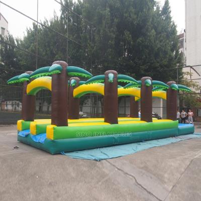 China Lead Free Tropical Double Lanes Slip N Certified Inflatable Slide With Pool For Kids And Adults Water Park Equipment for sale