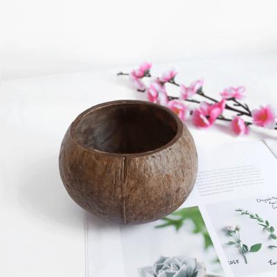 China Eco-Friendly Eco-Friendly Natural Organic Coconut Shell, Coconut Shell Bowl Coconut Shell Bowl Polished And Waxed/ for sale