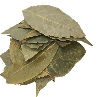 China Wholesale High Quality Dry Spice Xiangye Bay Leaf for sale