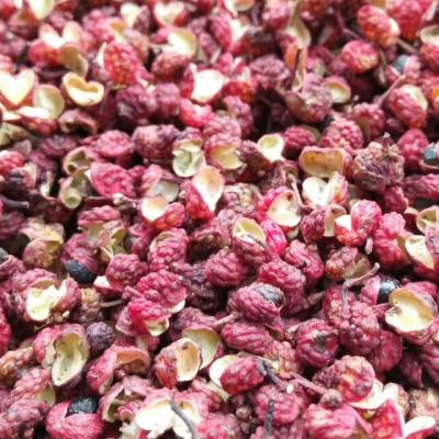 China Sichuan High Quality Red Peppercorns Dahongpao Dry Red Pepper for sale