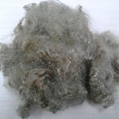 China HS Fiber 15Dx51MM Brown Cavity Siliconized Polyester Fiber for sale