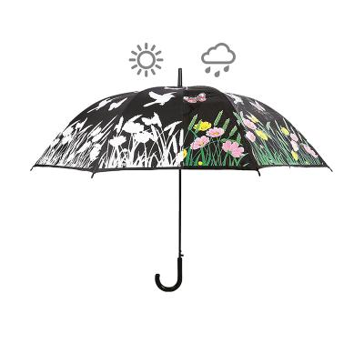 China Hot Selling Minimalist Sun Protection Color Changing Umbrella With Birds Pattern for sale