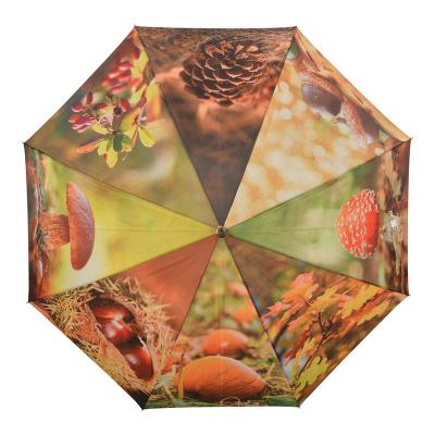 China Hot Selling Minimalist Autumn Cartoon Design Manual Half Automatic Open Umbrella With Leaf Prints for sale