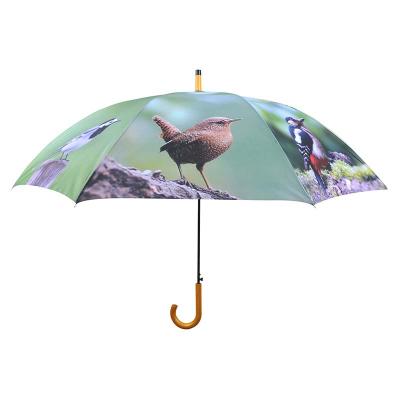 China Factory price minimalist birdcage pattern printing polyester hanging umbrella with J shape handle for ladies for sale