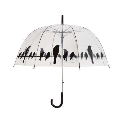 China Minimalist High Quality Durable Clear Dome Umbrella With Birds On Wire Printed for sale