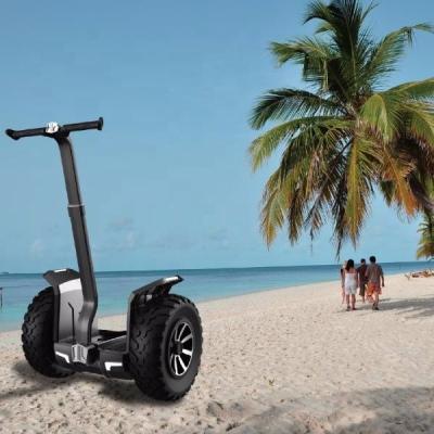 China Self Balancing CE 2020 segway Off Road CHIC Seg Way Cross For Long Distance Beach Tour And Patrol 50KM Mileage for sale