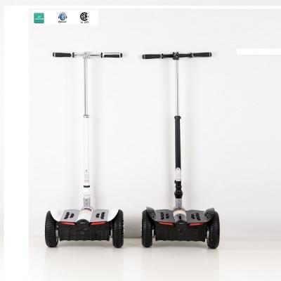 China Max Speed ​​15km/h And Max Load Two Wheels 100kgs Self-Balance Electric Scooter 10 Inch for sale