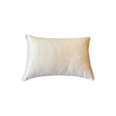 China Pure silk filling bed tussah pillow 100% silk filled anti dust mite pillow for sale