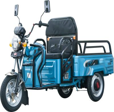 China New Cargo Invention Patent Loading Capacity 500kg Electric Tricycles for sale