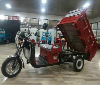 China Strong Climbing Capacity 60v 1200w Electric Cargo Tricycles for sale