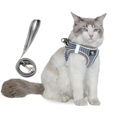 China Durable Polyester Mesh Automatic Reflective Traction Rope Breathable Dog And Cat for sale