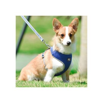 China Viable Polyester Mesh Leash Pet Harness High Performance Breathable Traction for sale