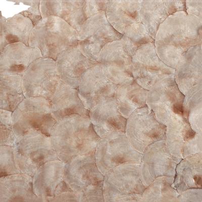 China Natural White Parquet Capiz Shell Mosaic for sale