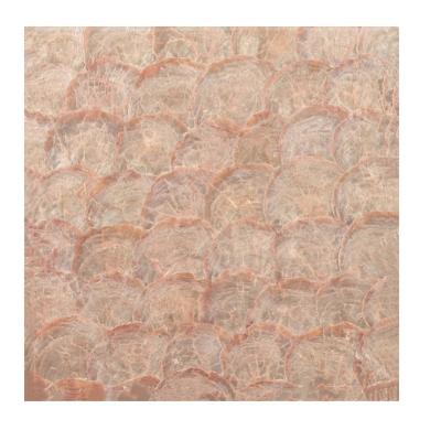 China Factory Made Round Wallpaper Gold Parquet Plate Capiz Shell Mosaic With Good Service for sale