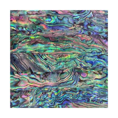 China Factory Made Laminate Natural Nail Art Shell Paper Abalone Veneer Sheet of Parquet Paua with Wholesale Price for sale