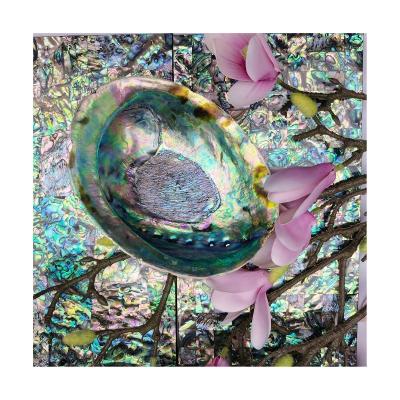 China Modern Wholesale Hot Abalone Shell With Best Sale Mosaic Tiles New Zealand Mother Pearl Laminate Service for sale