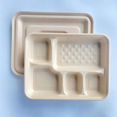 China Eco-friendly Customized Sugarcane Disposable Biodegradable Bagasse Box Food Fast Food Use Corn Straw Lunch Box for sale