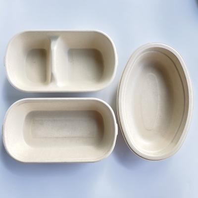 China Modern Disposable Biodegradable Wheat Straw Bagasse Molded Paper Pulp To Take Way Box Plant Eco-friendly Food Container for sale