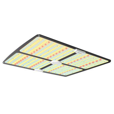 China Seed Starting 2022 Hot Sale Led Grow Light Use For Indoor Plants Growing Flower Stage Plants Grow Lights for sale