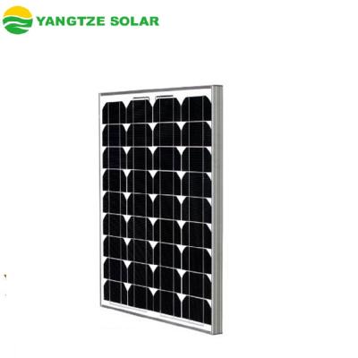 China Hot Selling Mono Solar System Best Price 50wp 55w 60w Solar Panel for sale