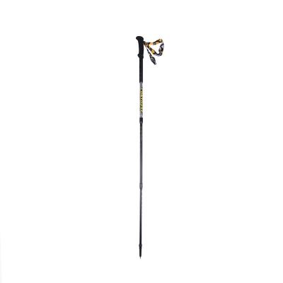 China 2020 Newly Private Label EVA Increasing Carbon Fiber Trekking Walking Poles for sale