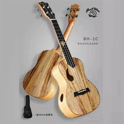 China Spalted Maple Snail BH-1C Solid Spalted Maple Wood Concert for sale