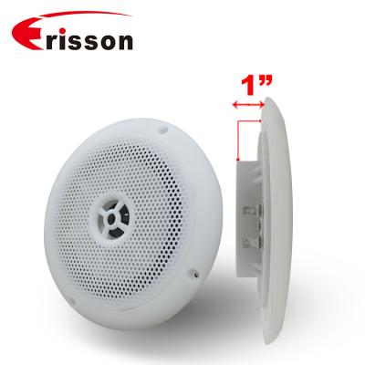 China OEM/OEM manufacturers 15W 4 ohm IPX6 5 inch RV waterproof PORTABLE speakers for caravan for sale