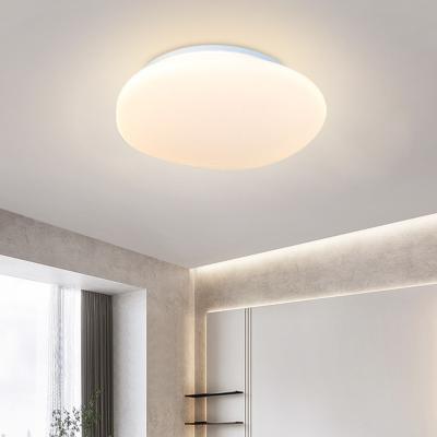 China Hot Selling Minimalism Modern Living Room Bedroom Outdoor Pebble Shape Ceiling Lamp Outdoor Mounted Home Lighting Led Lamp for sale