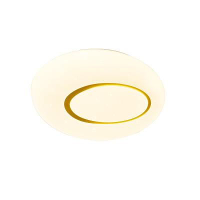 China Pebble Shape Simplicity Outdoor Room Mounted Children Bedroom Modern Ceiling Light, Led Ceiling Lamp for sale