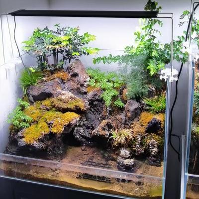 China 120Cm Viable Full Spectrum Planted Freshwater Led RGB Planted Aquarium Light for sale