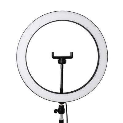 China Customization Accepted Makeup LED Ring Fill Light Kit With Tripods Represent Live Streaming YouTube Production Visual Photography Online Teaching for sale