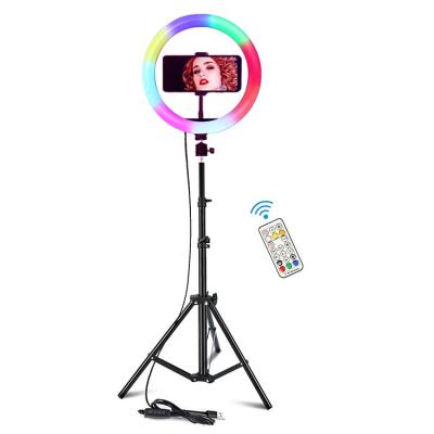 China Beauty RGB 10inch ABS Camera Selfie Ring Light Tiktok /Youtube with DEST Tripod Mount Phone Holder, Best Ring Light for Zoom for sale